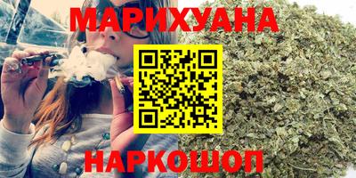 сатива Кунгур