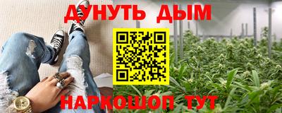сатива Кунгур