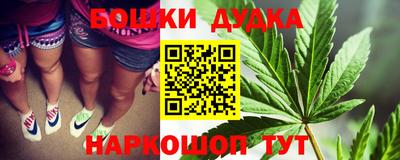 сатива Кунгур