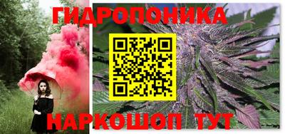 сатива Кунгур