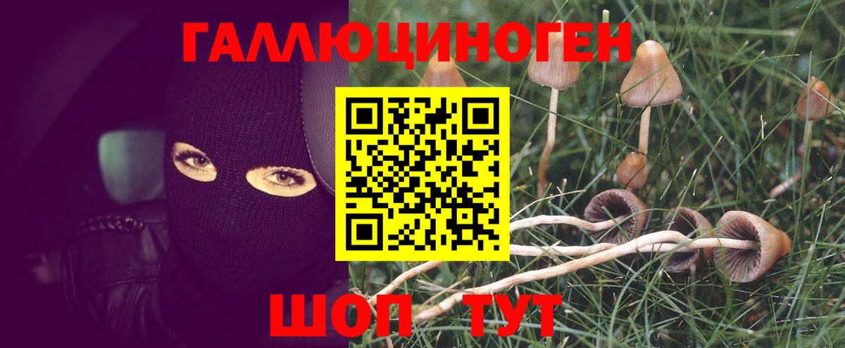 Барабинск  Псилоцибиновые грибы ЛСД  Вход с VPN 