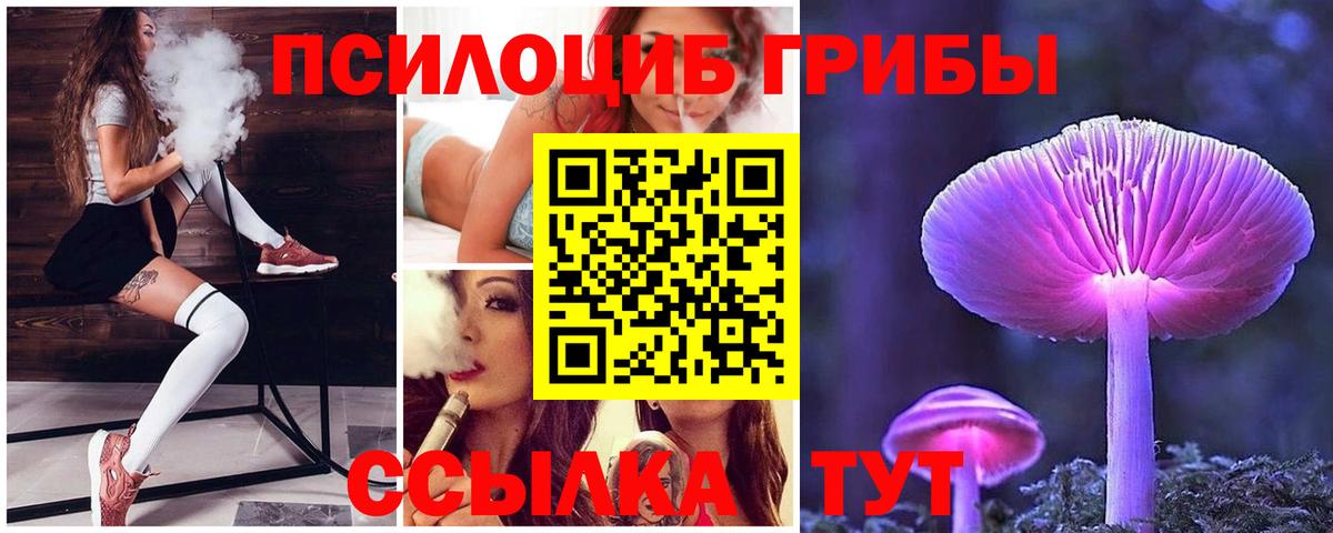 Галлюциногенные грибы прущие грибы Барабинск